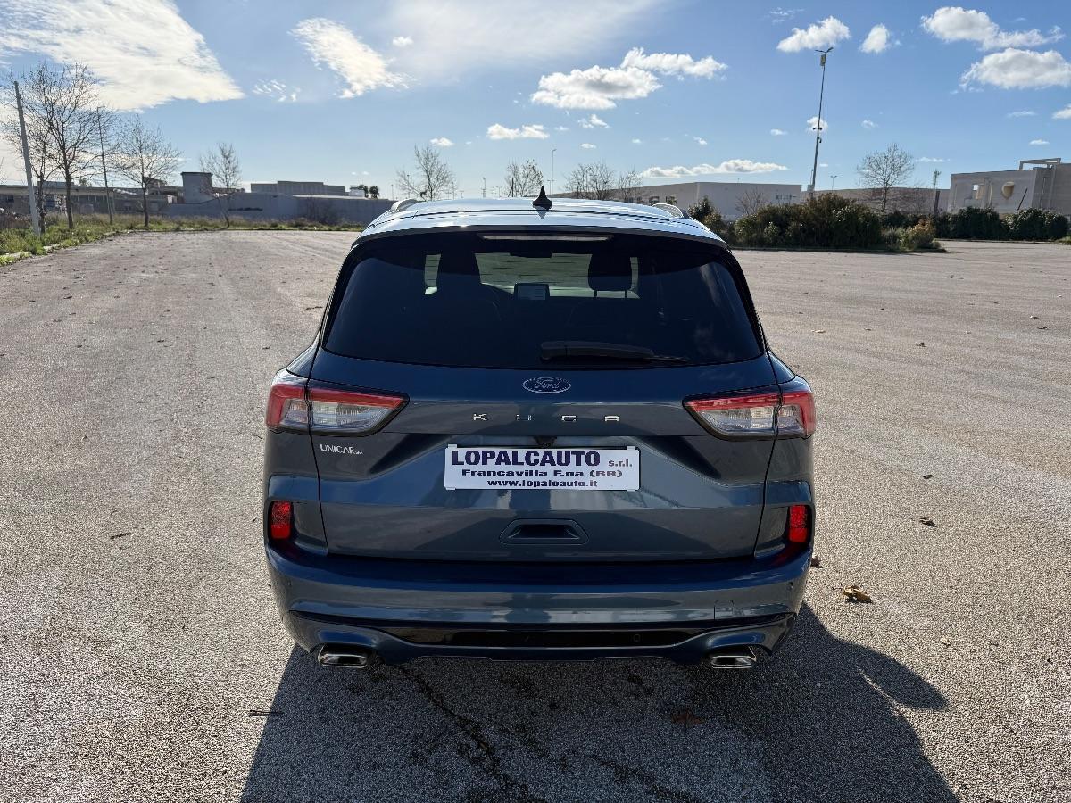 FORD KUGA 1.5 Ecoblue 120 c.v. 2wd ST- Line automatica