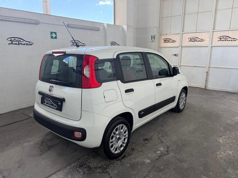 FIAT Panda Panda 1.2 Lounge 69cv