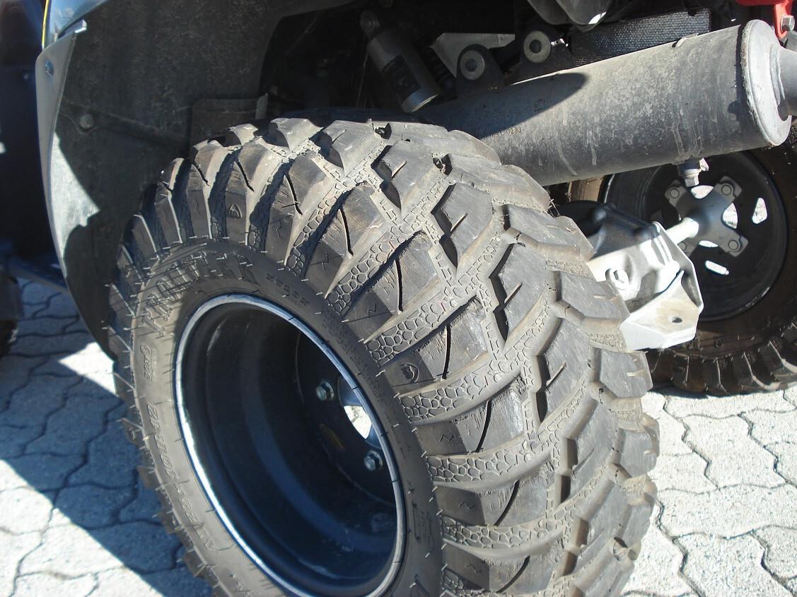 Kawasaki KVF 650 V-Twin Brute Force