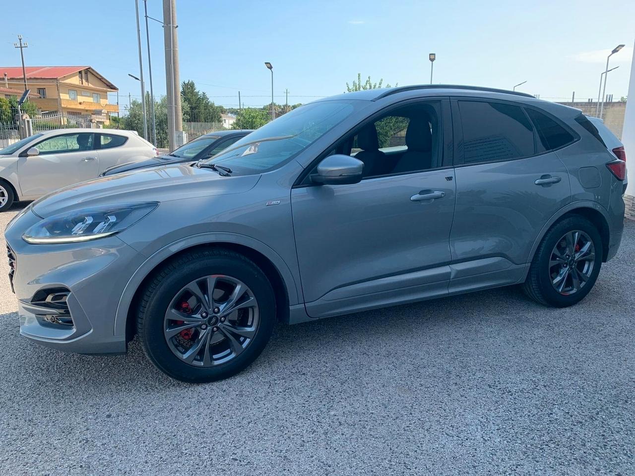 Ford Kuga 1.5 EcoBlue 120 CV 2WD Sport ST-Line