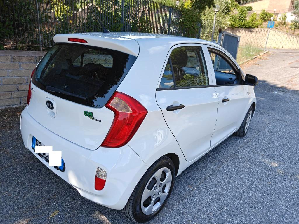 Kia Picanto 5 Porte Picanto 1.0 City Gpl 5p my13