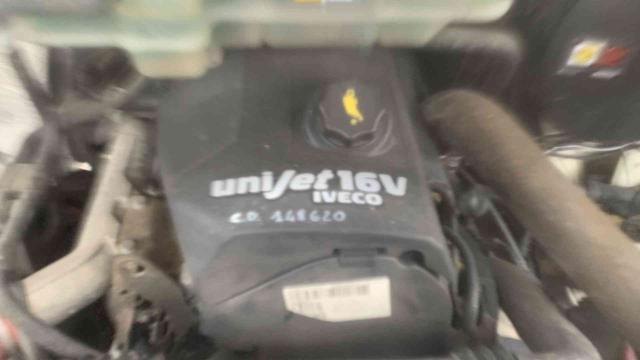 IVECO Daily 35C12 2.3 Hpi Trasporto Cavalli Patente B !!!