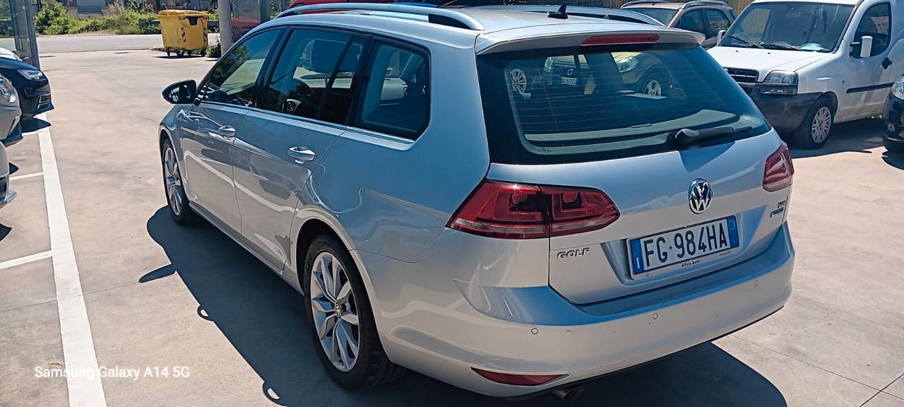 Volkswagen Golf Variant Golf Variant 1.6 TDI 110 CV Executive BlueMotion Technology