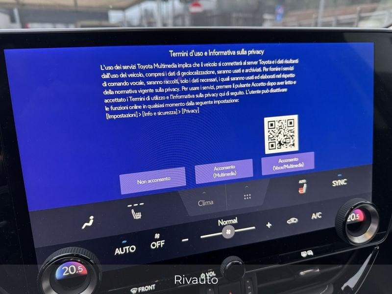 Lexus NX Hybrid Premium+ 4WD