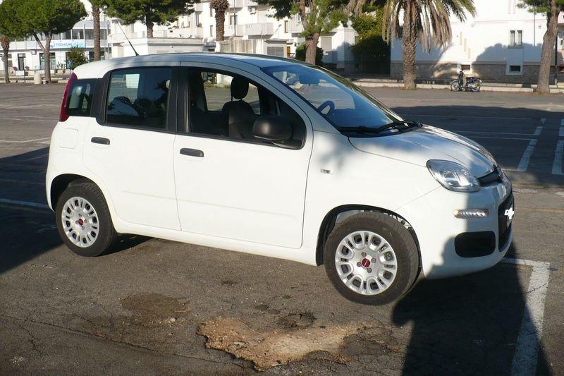 FIAT Panda Panda 1.2 Easy