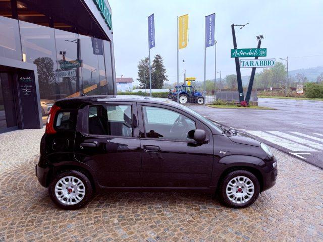 FIAT New Panda UNIPRO - KM 75.000 - GPL - NO OBBLIGO FINANZIAMENT