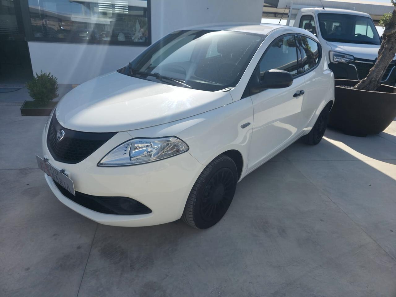 Lancia Ypsilon 1.2 69 CV 5 porte Platinum