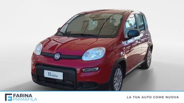 FIAT Panda 1.0 70cv Hybrid Panda