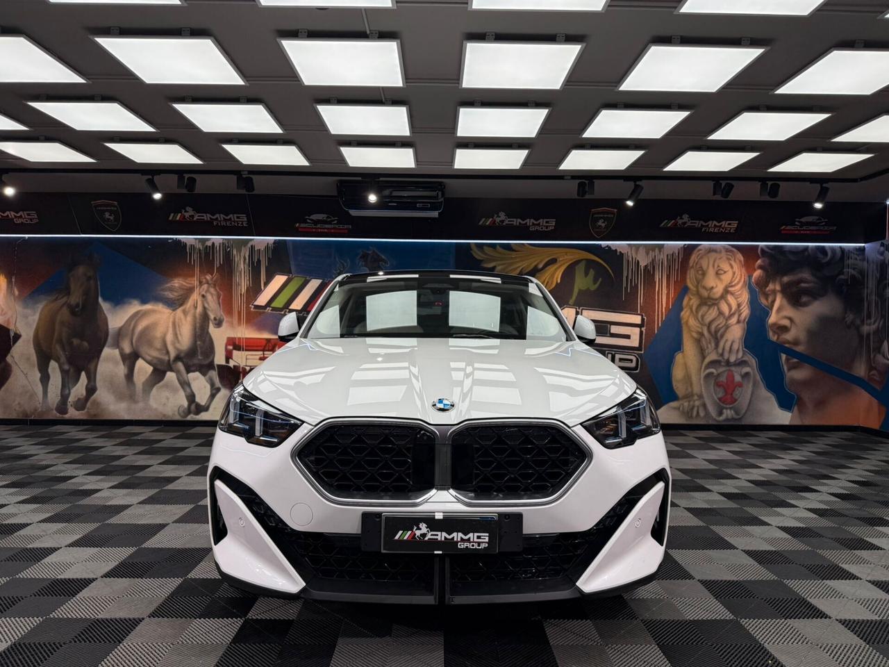 Bmw X2 xDrive 20d MSport (192)