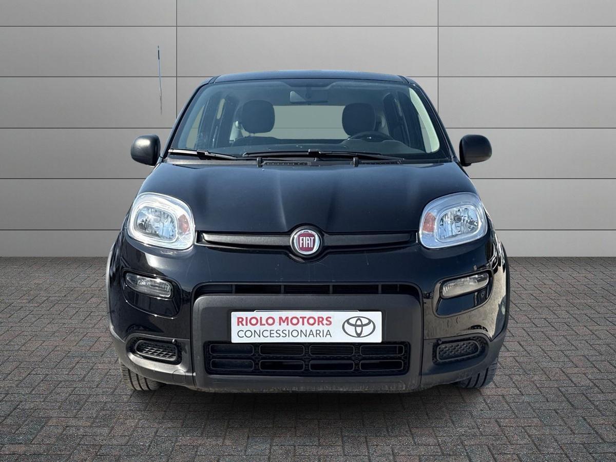 FIAT Panda III 2021 - Panda 1.0 firefly hybrid s&s 70cv