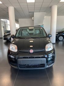 FIAT panda NUOVA PANDINA KM 0 2024