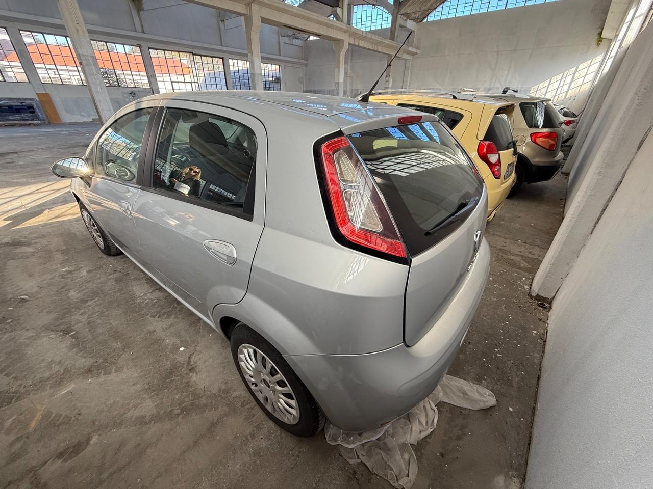 Fiat Punto 1.2 8V 5 porte NEOPATENTATI