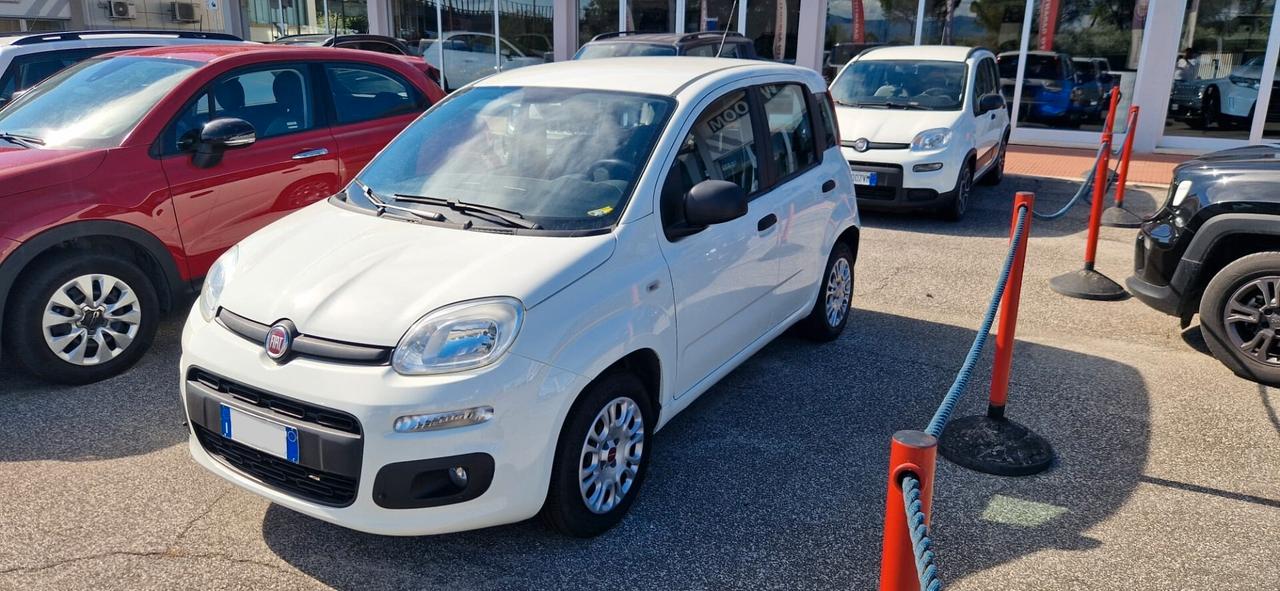 Fiat Panda 1.2 Easy