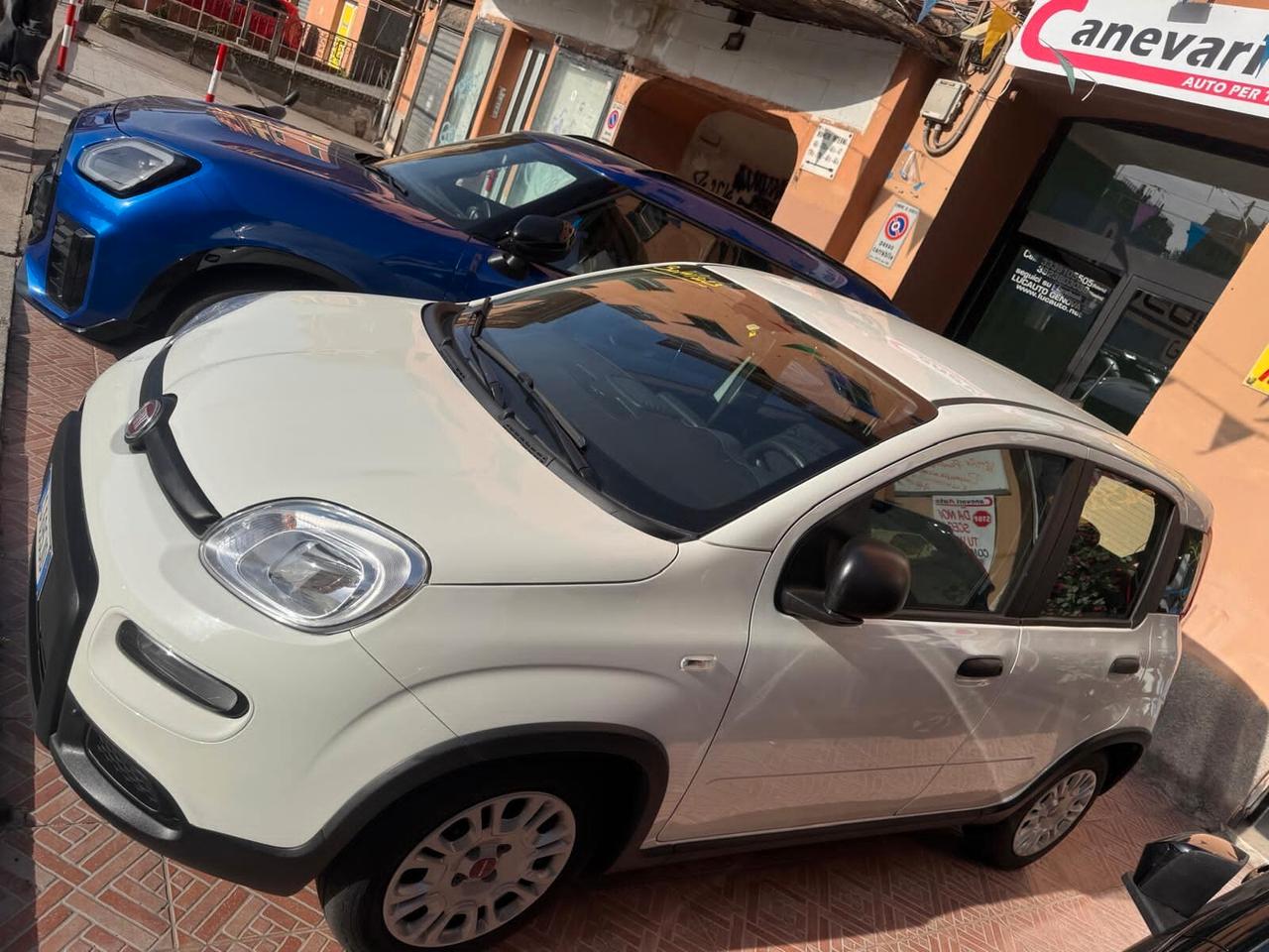 Fiat Panda 1.0 FireFly S&S Hybrid City Life