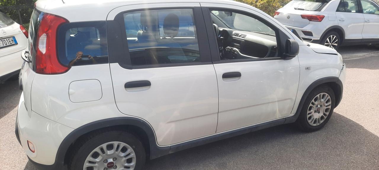 Fiat Panda 1.0 FireFly S&S Hybrid anno 2023