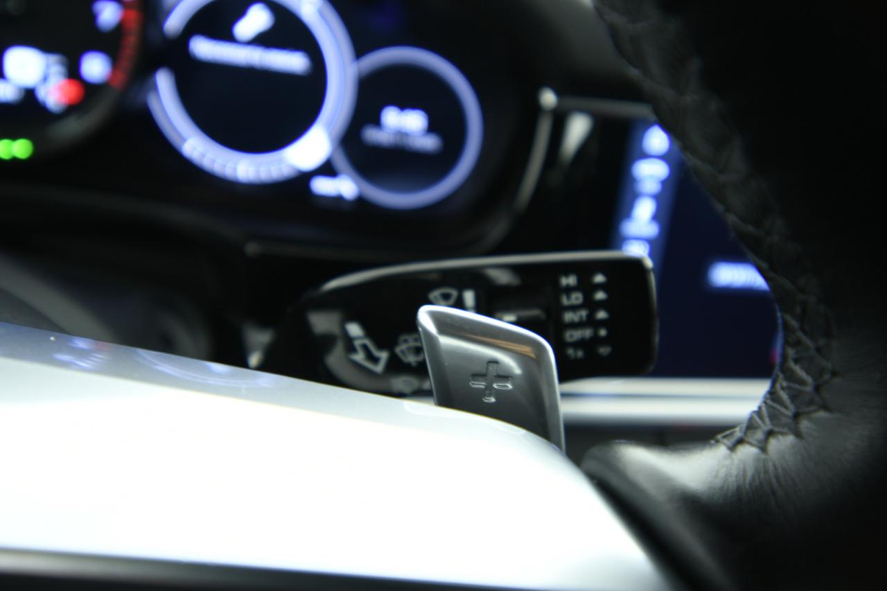 PORSCHE Panamera 2.9 4 e-hybrid auto ACC+CAMERA+TETTO PANO+C21"