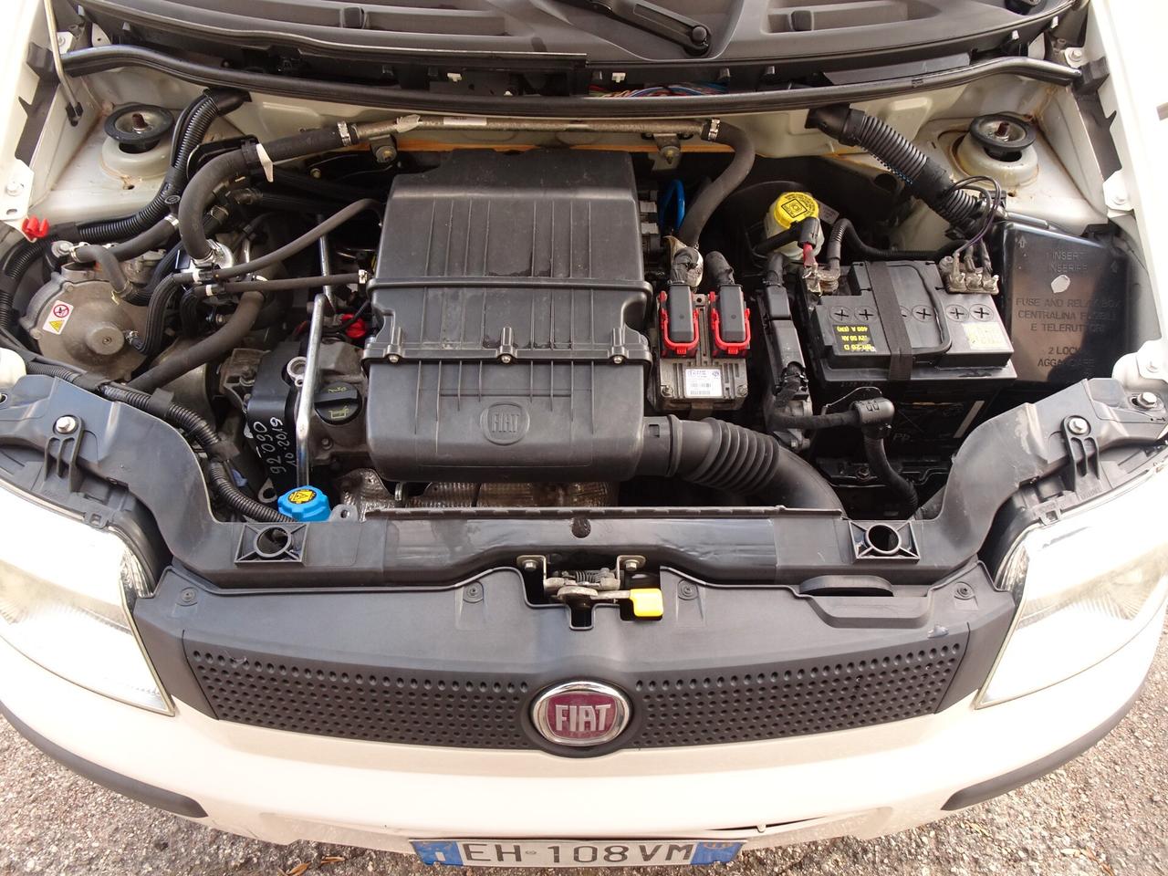 Fiat Panda 1.2 Dynamic GPL