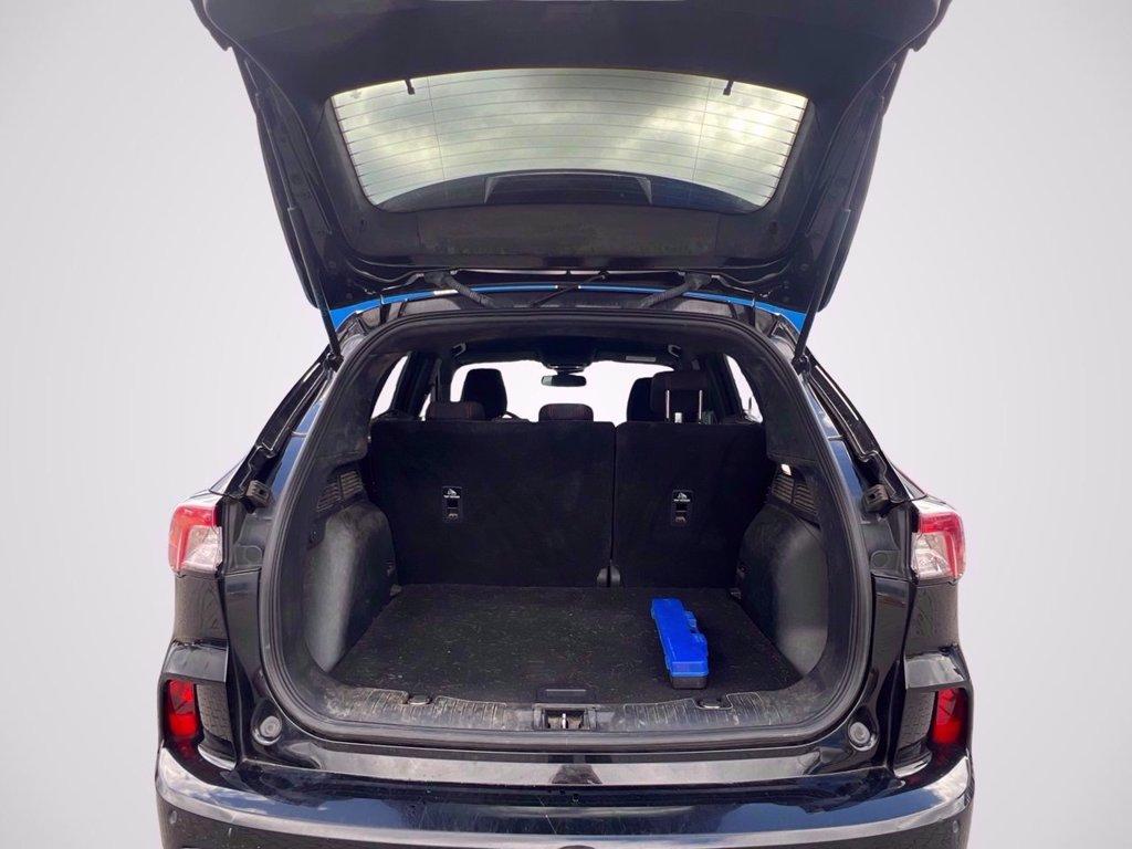 FORD Kuga 1.5 EcoBlue 120 CV 2WD ST-Line del 2022