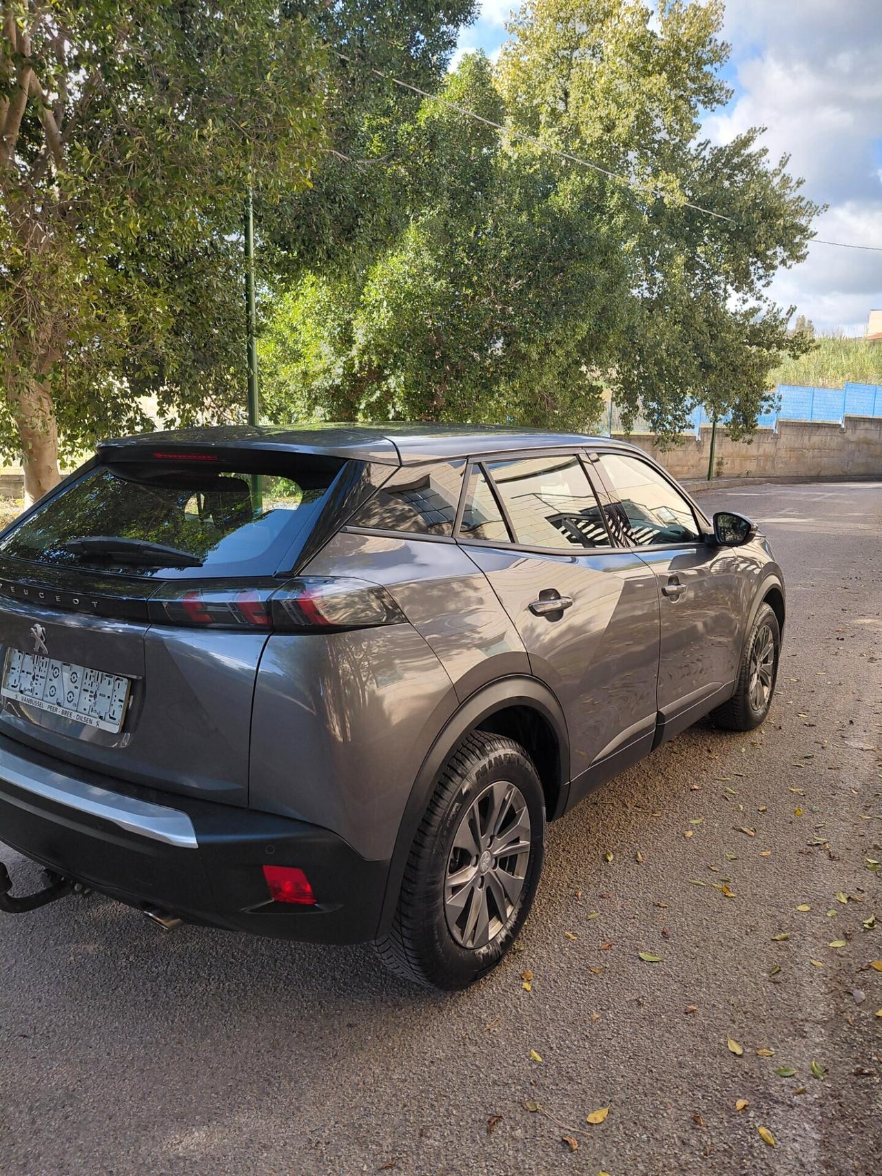 Peugeot 2008 BlueHDi 110 S&S Active Pack