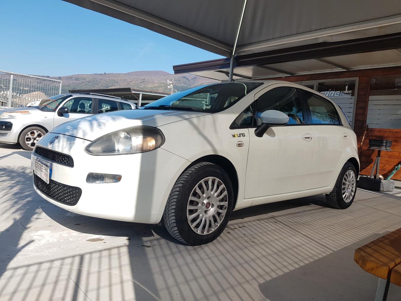 FIAT PUNTO YOUNG ANNO 12/2014 1.2 BENZINA