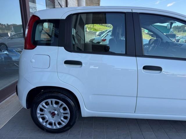 Fiat Panda 1.2 Easy 69cv 5posti