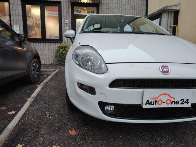 FIAT Punto 1.2 8V 5 porte Street NEOPATENTATI