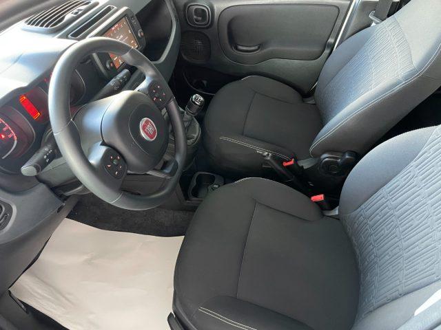 FIAT Panda 1.0 Hybrid 70 CV Cross