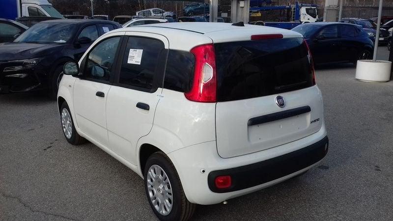 FIAT Panda VAN 2 POSTI 1.0 FireFly S&S Hybrid 70cv