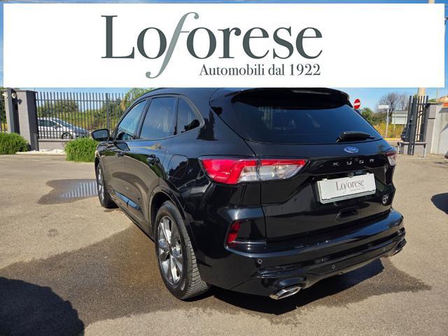 FORD Kuga 2.0 EcoBlue 120 CV aut. 2WD ST-Line