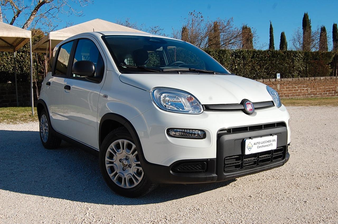 Fiat Panda 1.0 FireFly S&S Hybrid