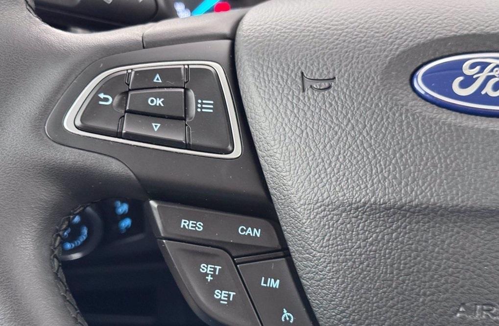 FORD EcoSport FORD EcoSport 1.0 ecoboost active s&s 125cv GPL new