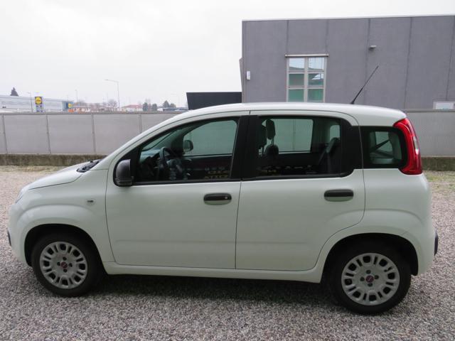 FIAT Panda 1.2 Easy S&S 1200 C.C.