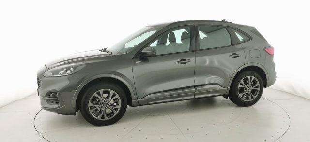 FORD Kuga 2.0 EcoBlue 120 CV aut. AWD ST-Line