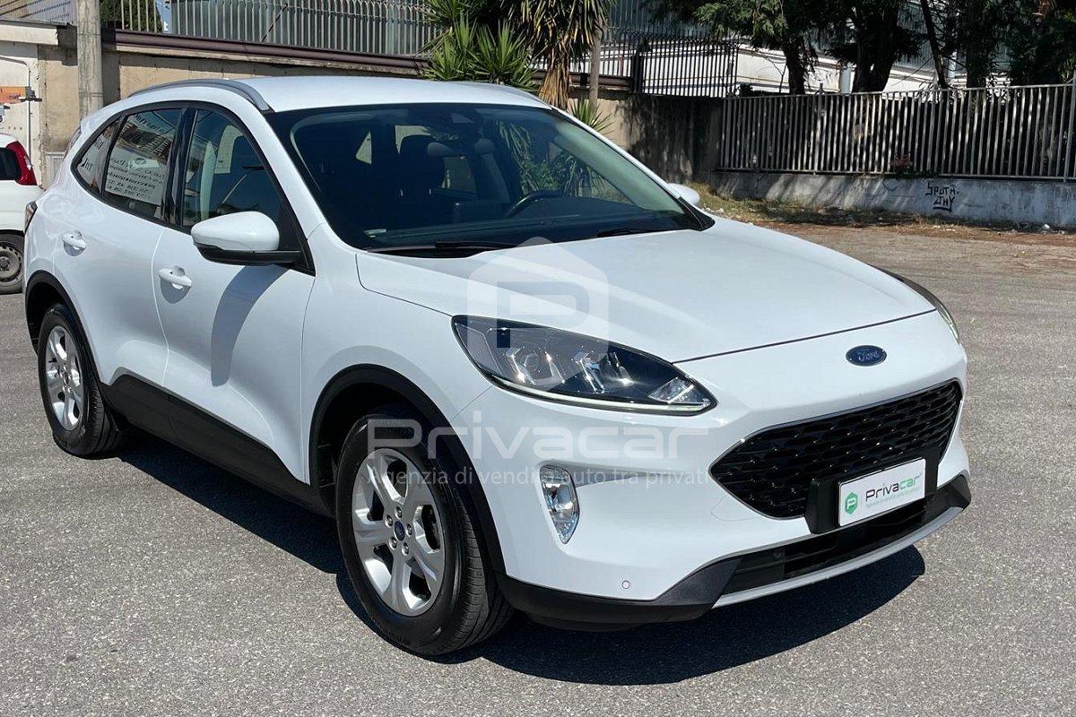 FORD Kuga 1.5 EcoBlue 120 CV 2WD Titanium Business