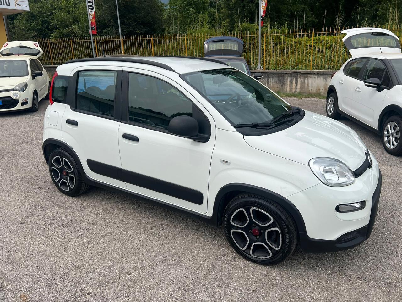 Fiat Panda 1.0 FireFly S&S Hybrid City Life