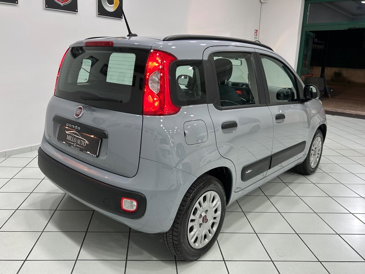 Fiat Panda 1.2cc 69cv Easy UNICO PROPRIETARIO