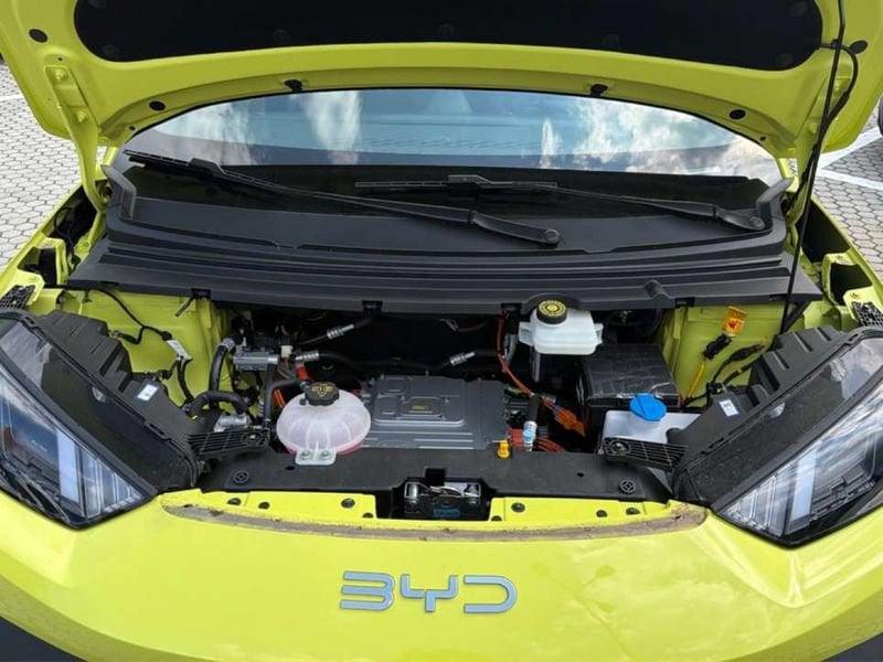 BYD Dolphin Surf Comfort