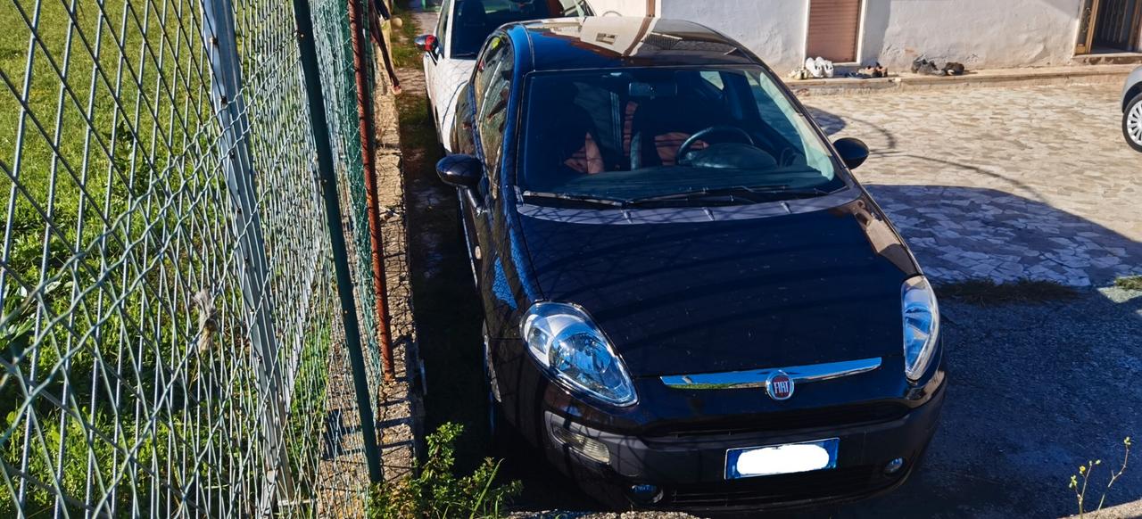 Fiat Punto Evo 1.3 Mjt 75 CV DPF 5 porte S&S Dynamic