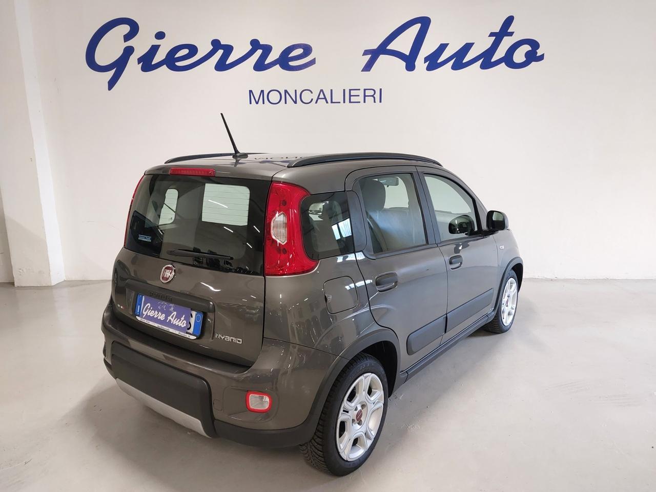 FIAT Panda 3ª serie Panda 1.0 FireFly S&S Hybr...