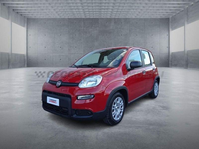 FIAT Panda 1.0 70cv Hybrid Panda