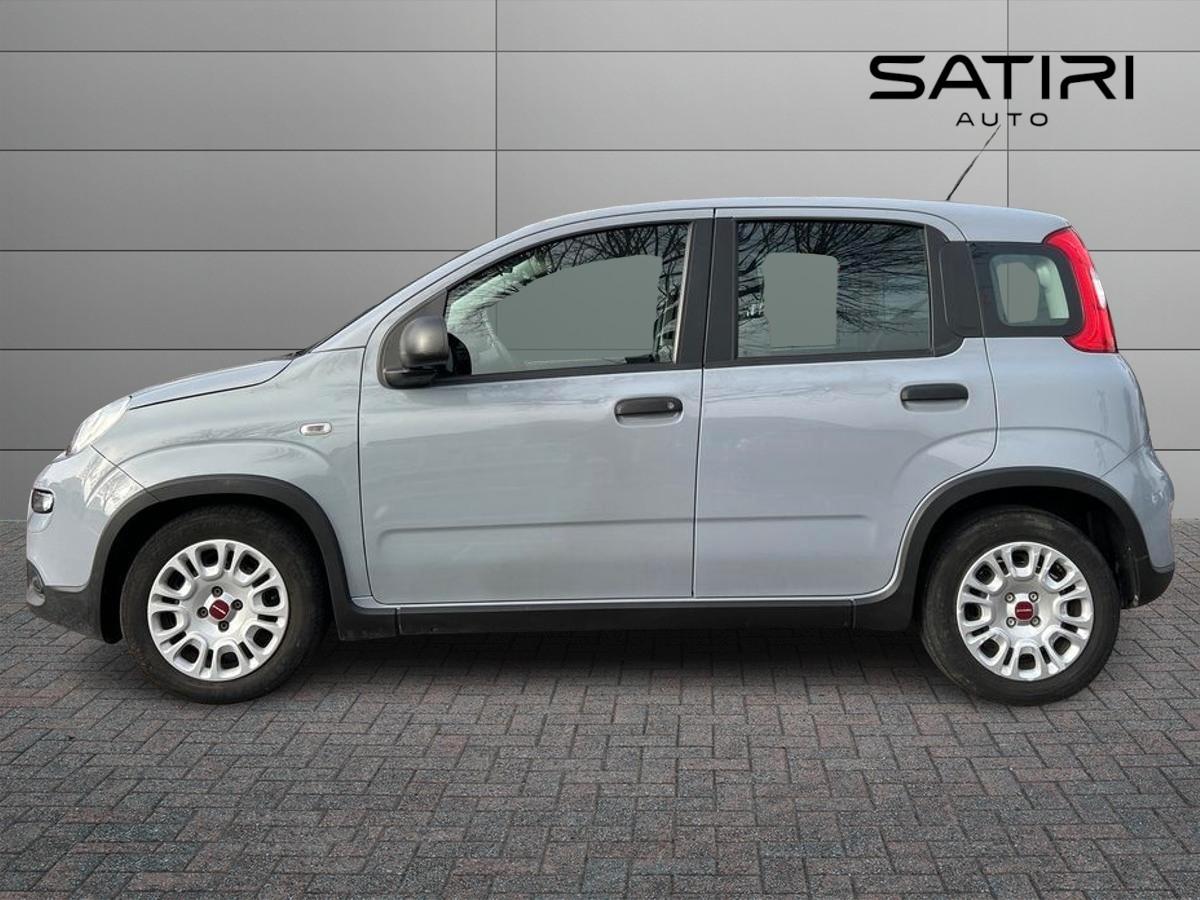 FIAT Panda III 2021 - Panda 1.0 firefly hybrid s&s 70cv