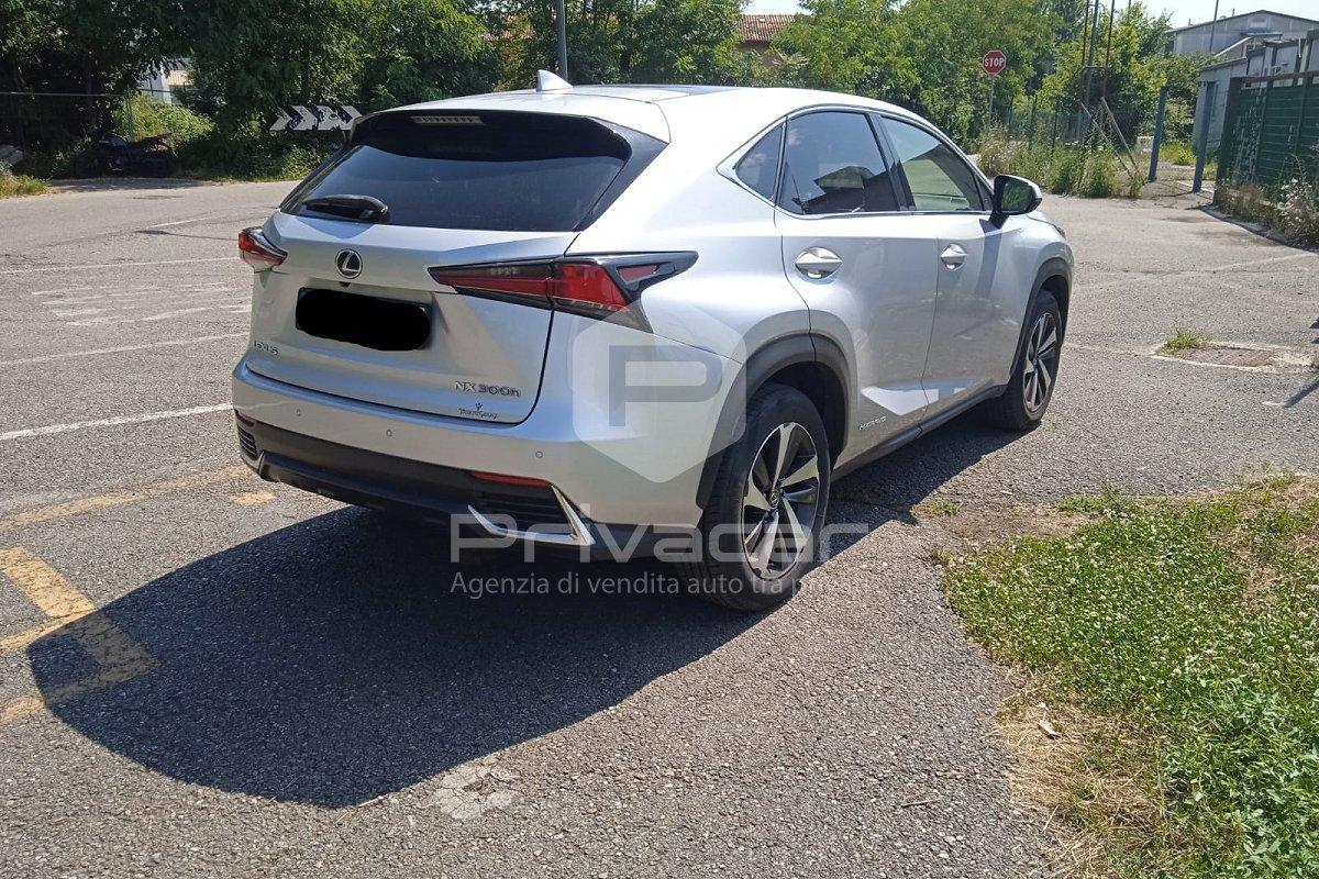 LEXUS NX Hybrid 4WD Luxury