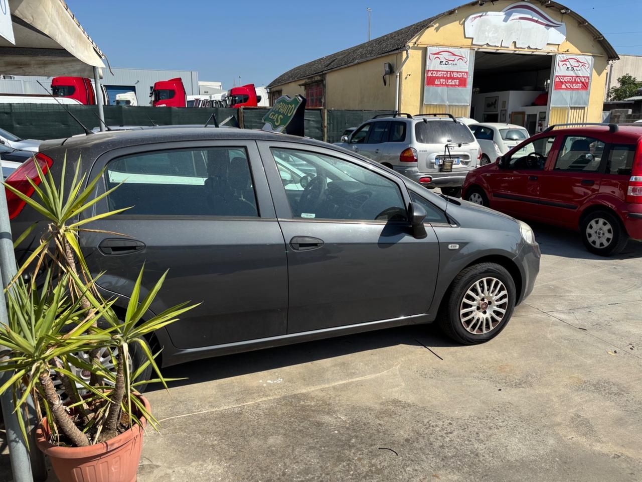 Fiat Punto 1.4 8V 5 porte Easypower Street