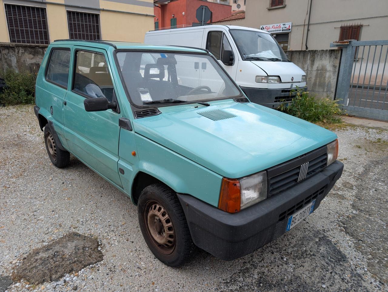 Fiat Panda 900 i.e. cat Young