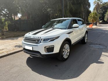 Land Rover Range Evoque 2.0 eD4 5p. Business Edition Premium Pure