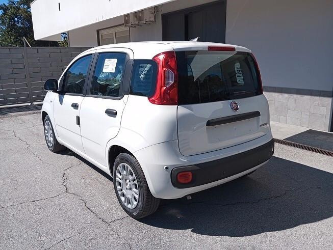 Fiat Panda 1.0 FireFly S&S Hybrid Icon