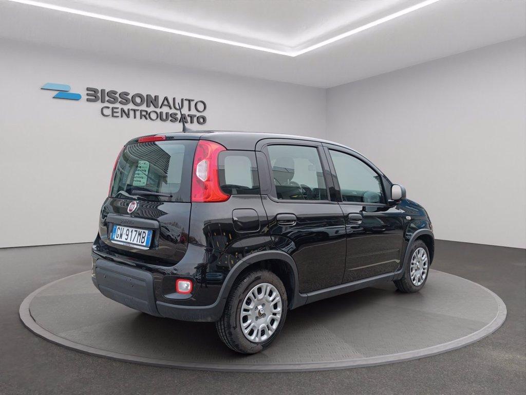FIAT Panda 1.0 firefly hybrid s&s 70cv del 2024