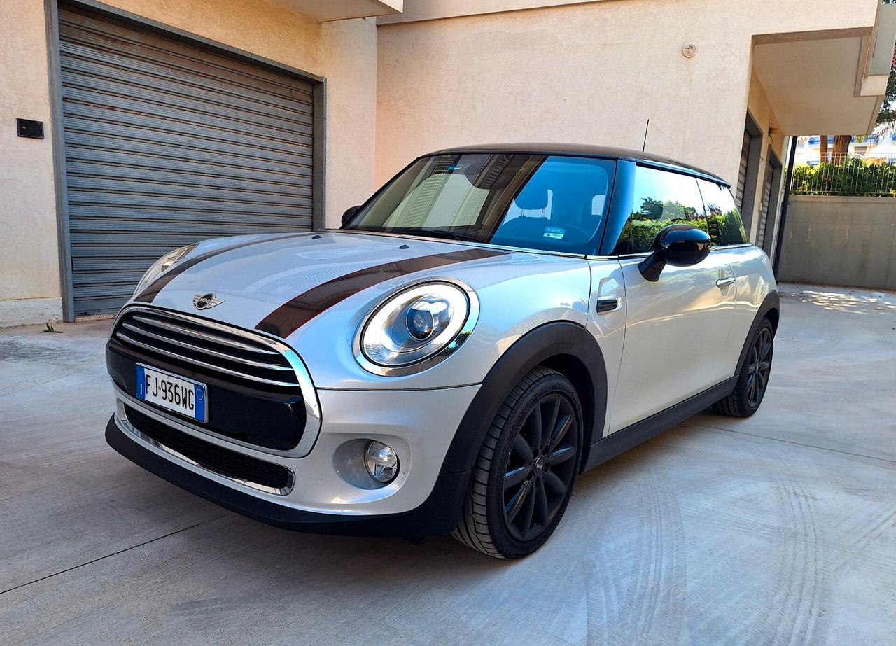 Mini Mini 1.5 One D Hype