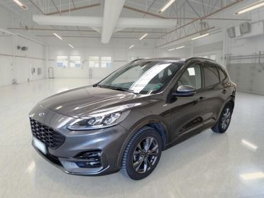 FORD KUGA 2.0 EcoBlue 190CV AWD ST-Line X Auto
