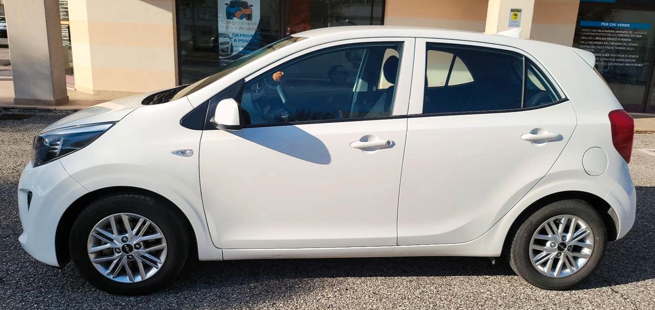 Kia Picanto 1.0 12V 5 porte AMT Urban (67cv)-GARANZIA DI 6 ANNI O KM 150.000